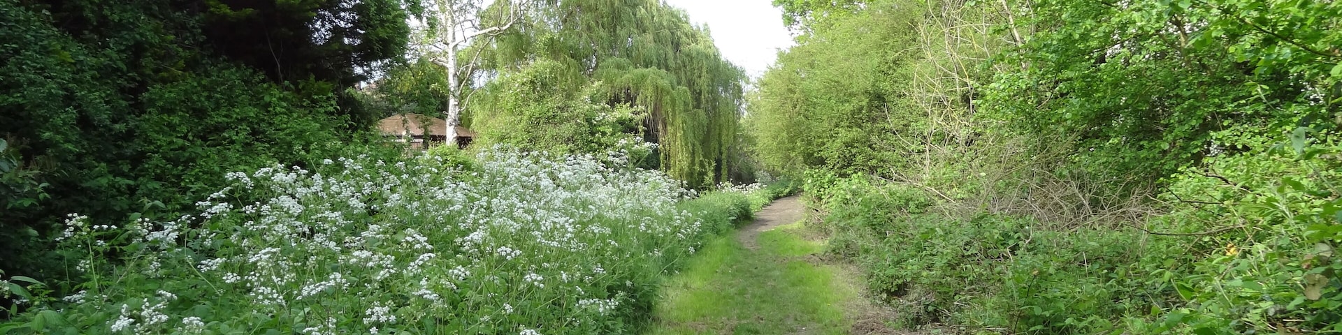 Raeburn Open Space, nature reserve in Berrylands, London