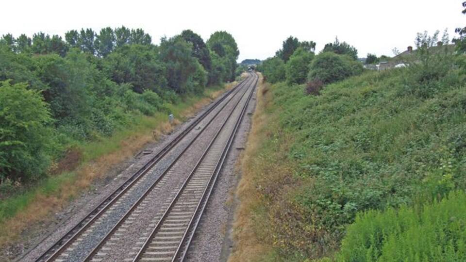 Vías de tren rodeadas de abundante vegetación y árboles.