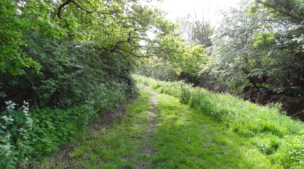 Raeburn Open Space, nature reserve in Berrylands, London