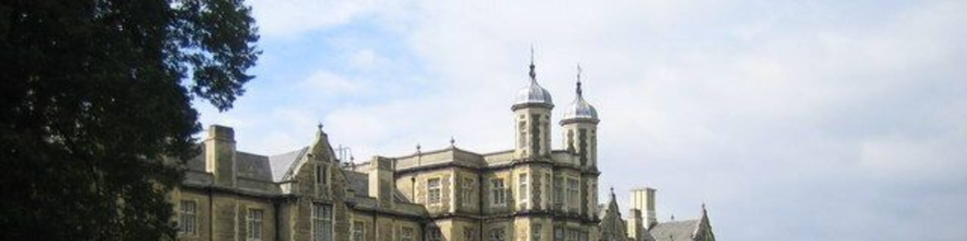 Snaresbrook Crown Court. The building was originally constructed as the "Infant Orphan Asylum" on the instigation of a Congregationalist Minister, Andrew Reed, to provide help and protection for middle-class fatherless children without adequate means of support. When the foundation stone was laid in 1841, Prince Albert performed the deed and the event attracted all the great and the good from Victorian society. The architect was Sir Gilbert Scott and the building was completed and opened in 1843, again by Royalty, in this case King Leopold of the Belgians. The asylum housed up to 600 children who had to be elected for admission by voters, a procedure that continued until 1947. The asylum was later renamed the Royal Wanstead School and became a grammar school after the 1944 Education Act. However dwindling school numbers and a lack of funding eventually forced its closure in 1971. The building was subsequently taken over by Her Majesty's Court Service and today is Europe's busiest court, handling in excess of 7,000 cases a year.