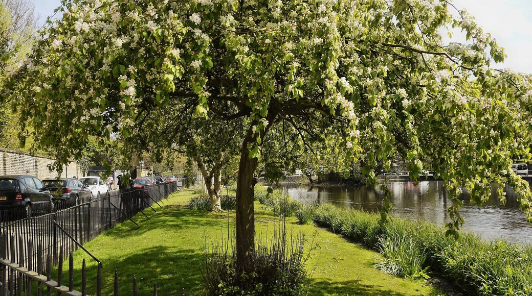 P1170548 Carshalton..10.04.14