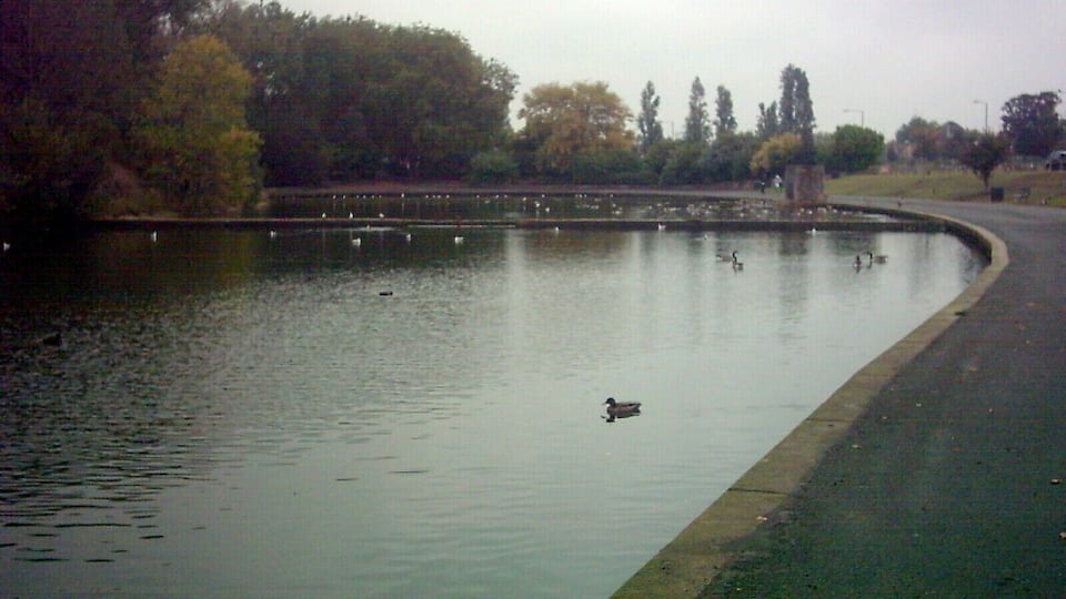 Acqua calma con anatre che nuotano, circondata da alberi e da un vialetto lastricato.