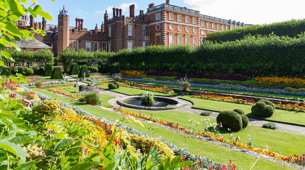 ํค์ด์ฆ๋ฒ๋ฆฌ