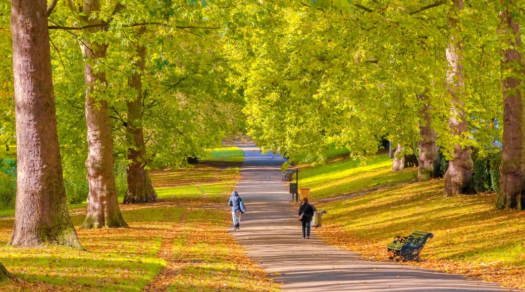 ํ ํธ๋ ๊ทธ๋ฆฐ