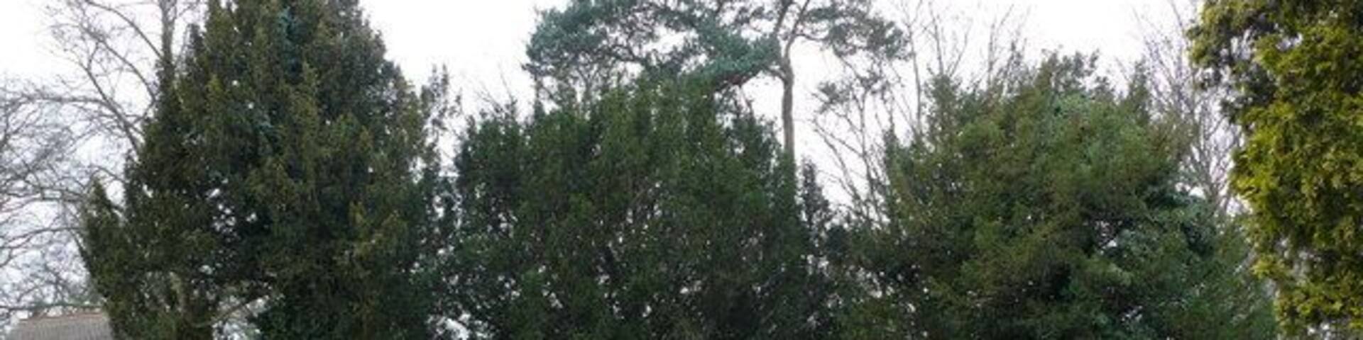 Coombe Wood Gardens, Croydon Part of the more formal gardens, near to the café.