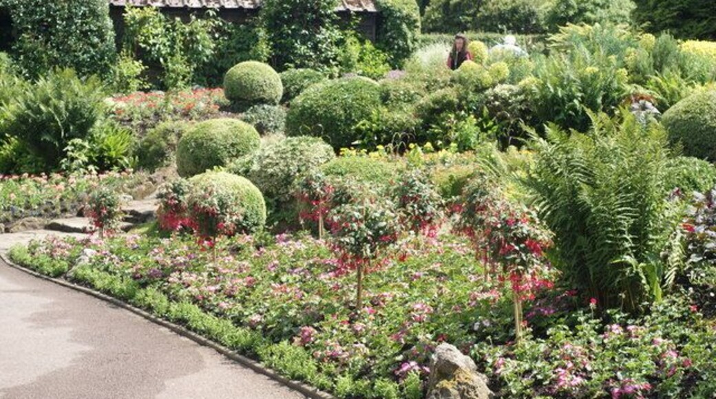 Coombe Wood Gardens, Croydon Early summer colour in the flower beds.
