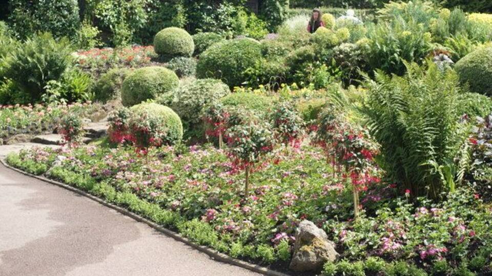 Coombe Wood Gardens, Croydon Early summer colour in the flower beds.