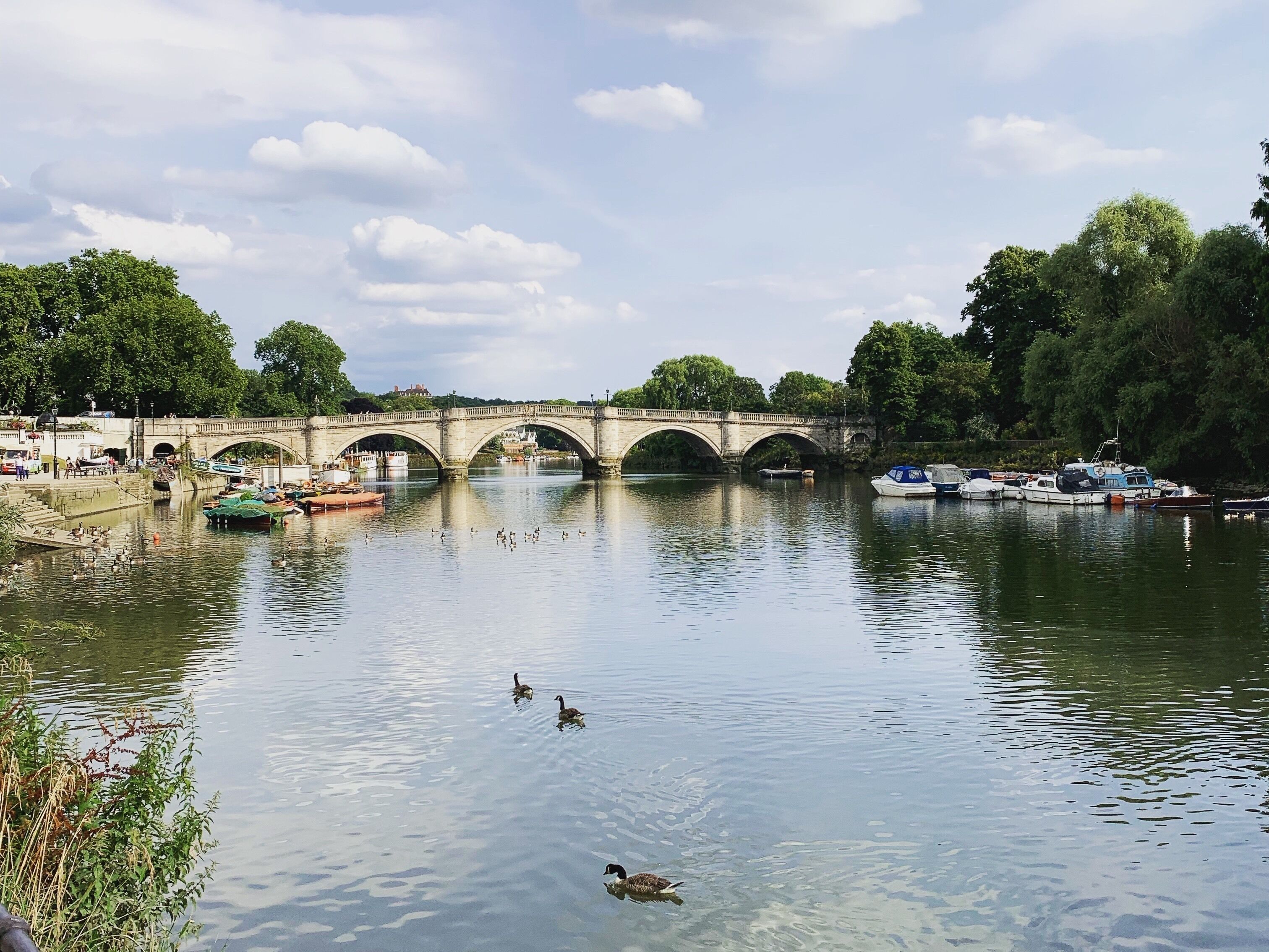 Richmond bridge on river Thames.
Richmond , UK