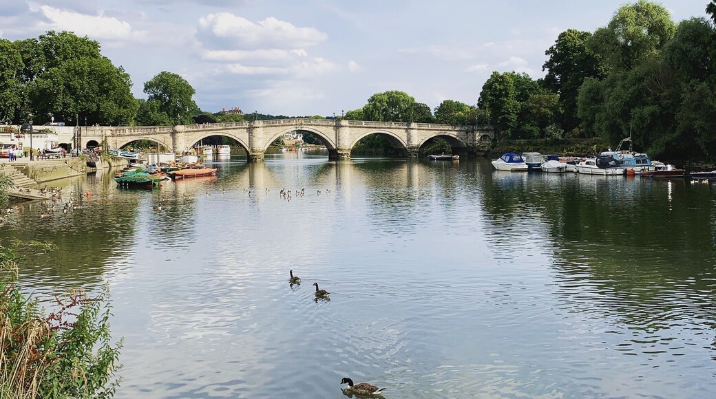 Richmond bridge on river Thames.
Richmond , UK