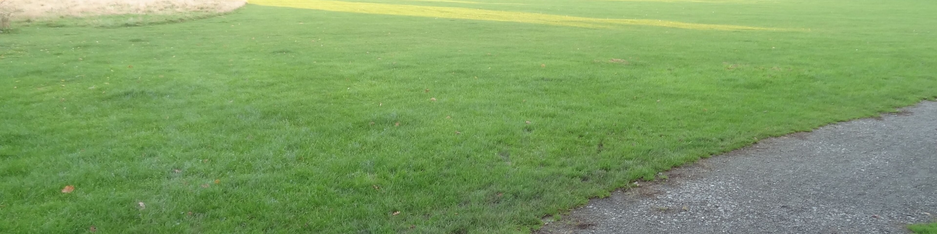 Cranham Brickfields, park and nature reserve in Cranham, London Borough of Havering