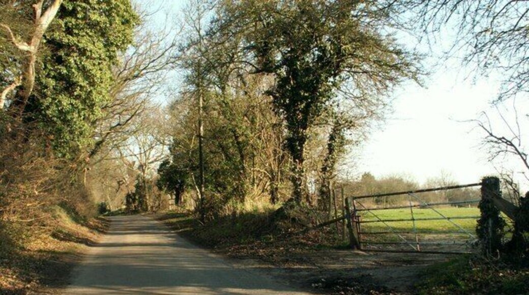 The southern part of Bird Lane Bird Lane is split into two by the A.127 dual carriageway.