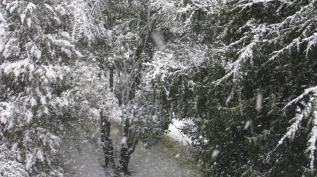 Municipio XV, Rome, Italy