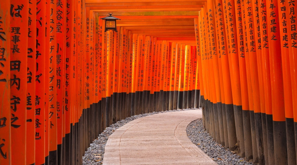 ํ๊ฐ์์ฟ ์กฐ๋์์ฐ๋
ธ์ด