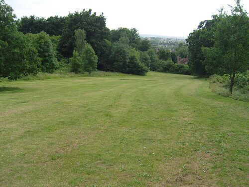 Nettlefold Field Nettlefold Field, is being managed for nature conservation. It consists of meadows, mature trees, woodland, a hedge and a small pond. The list of birds seen on the site is impressive for a small suburban park, including great spotted and green woodpeckers, nuthatch, greenfinch, chaffinch and goldcrest as regular visitors.