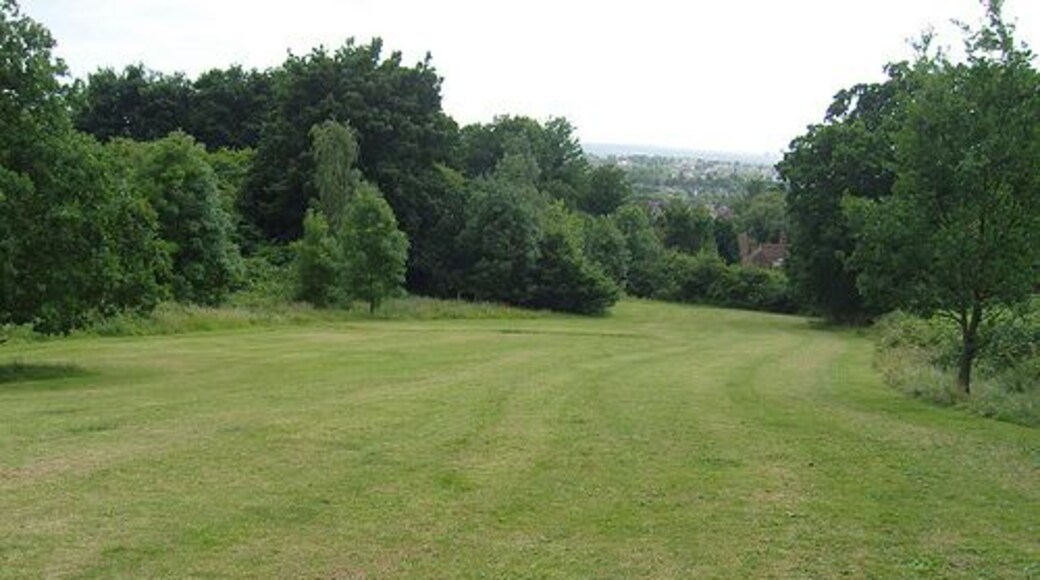 Nettlefold Field Nettlefold Field, is being managed for nature conservation. It consists of meadows, mature trees, woodland, a hedge and a small pond. The list of birds seen on the site is impressive for a small suburban park, including great spotted and green woodpeckers, nuthatch, greenfinch, chaffinch and goldcrest as regular visitors.