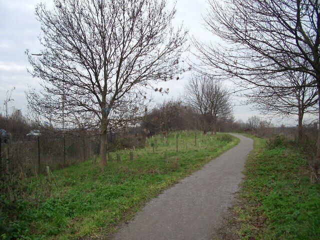 Roding Valley Park. This area of former floodplain by the River Roding was designated a linear park after construction of the M11. It provides a pleasant north-south leisure route alongside the rather sluggish Roding. The new tree planting will in time screen the motorway, which has a roar like a jumbo jet. Here we are looking north, with the river to our right and the motorway on the left. Redbridge roundabout is half a mile behind us.