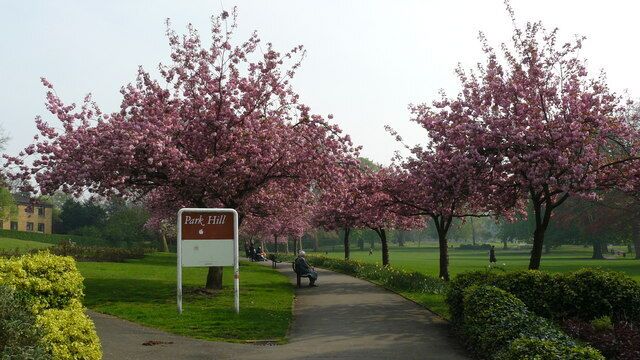 Un parco con alberi di ciliegio in fiore, un cartello con su scritto 'Park Hill' e un percorso.