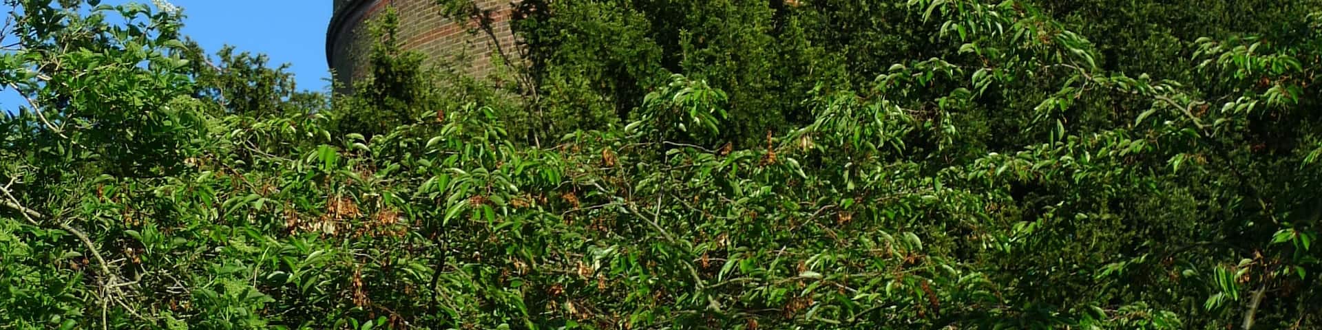 Park Hill Water Tower, Park Hill Recreation Ground, Croydon. This Victorian water tower, now no longer in use, is a Grade II listed building. Park Hill Water Tower at English Heritage