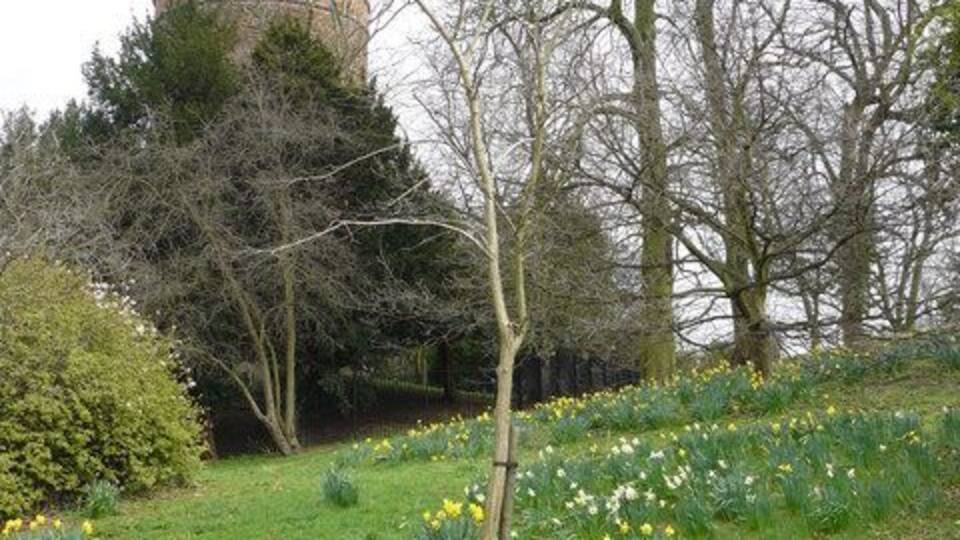 Water Tower, Park Hill Spring colour in front of the water tower.