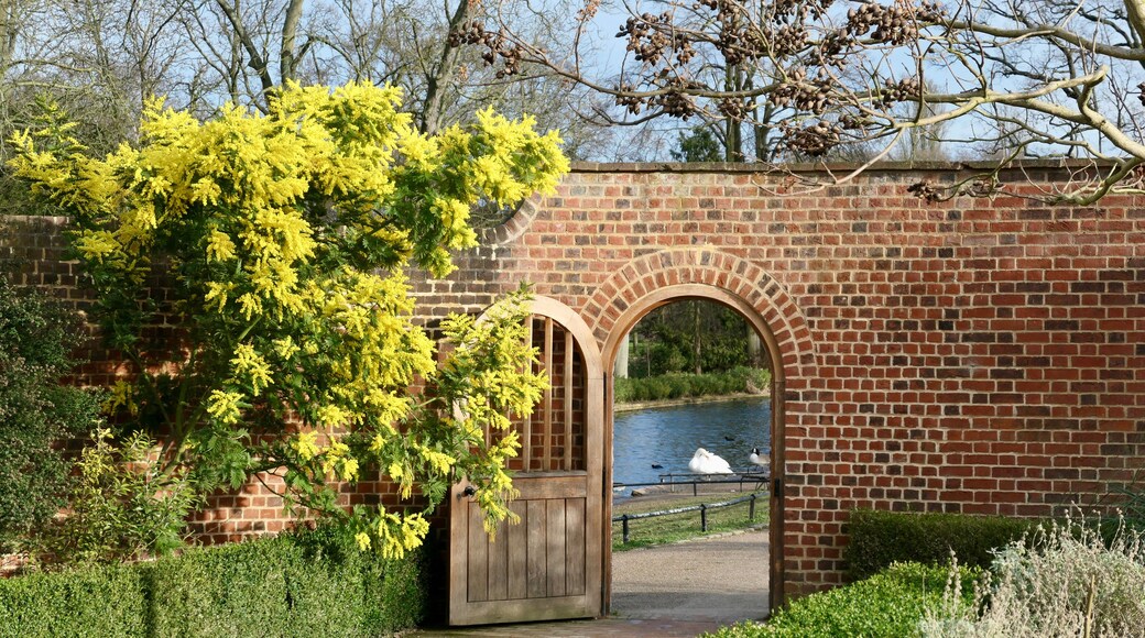 Wall with door and yellow tree in Valentines Park, Ilford, London, UK
