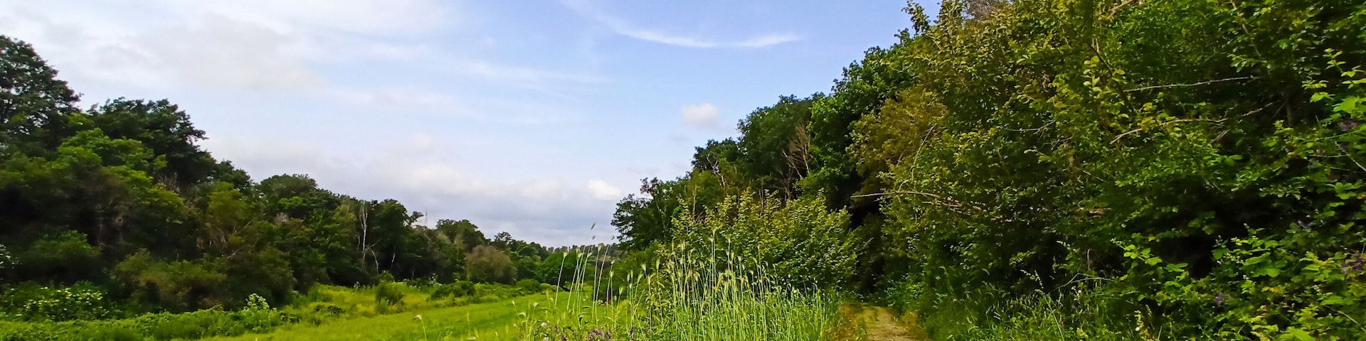 Parco della MArcigliana, Roma