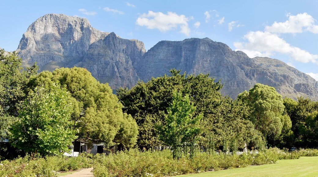 Cape Winelands - Boschendal