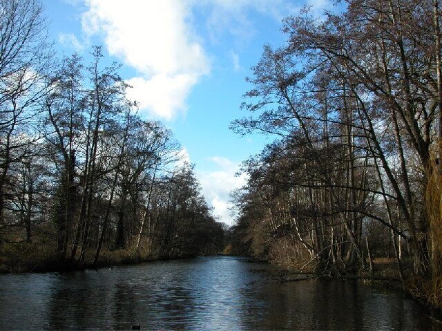 Canal Plantation, Bushy Park. Taken in January this canal is a rather neglected feature in Bushy Park.