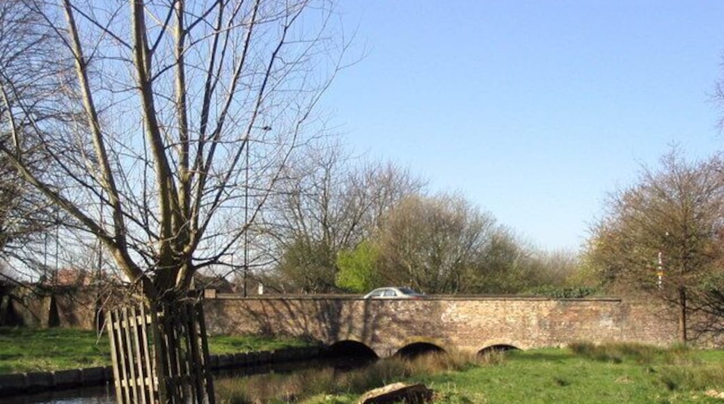 Longford River in Bushy Park This is the Pantile Bridge as seen from the banks of the Longford River in Bushy Park.