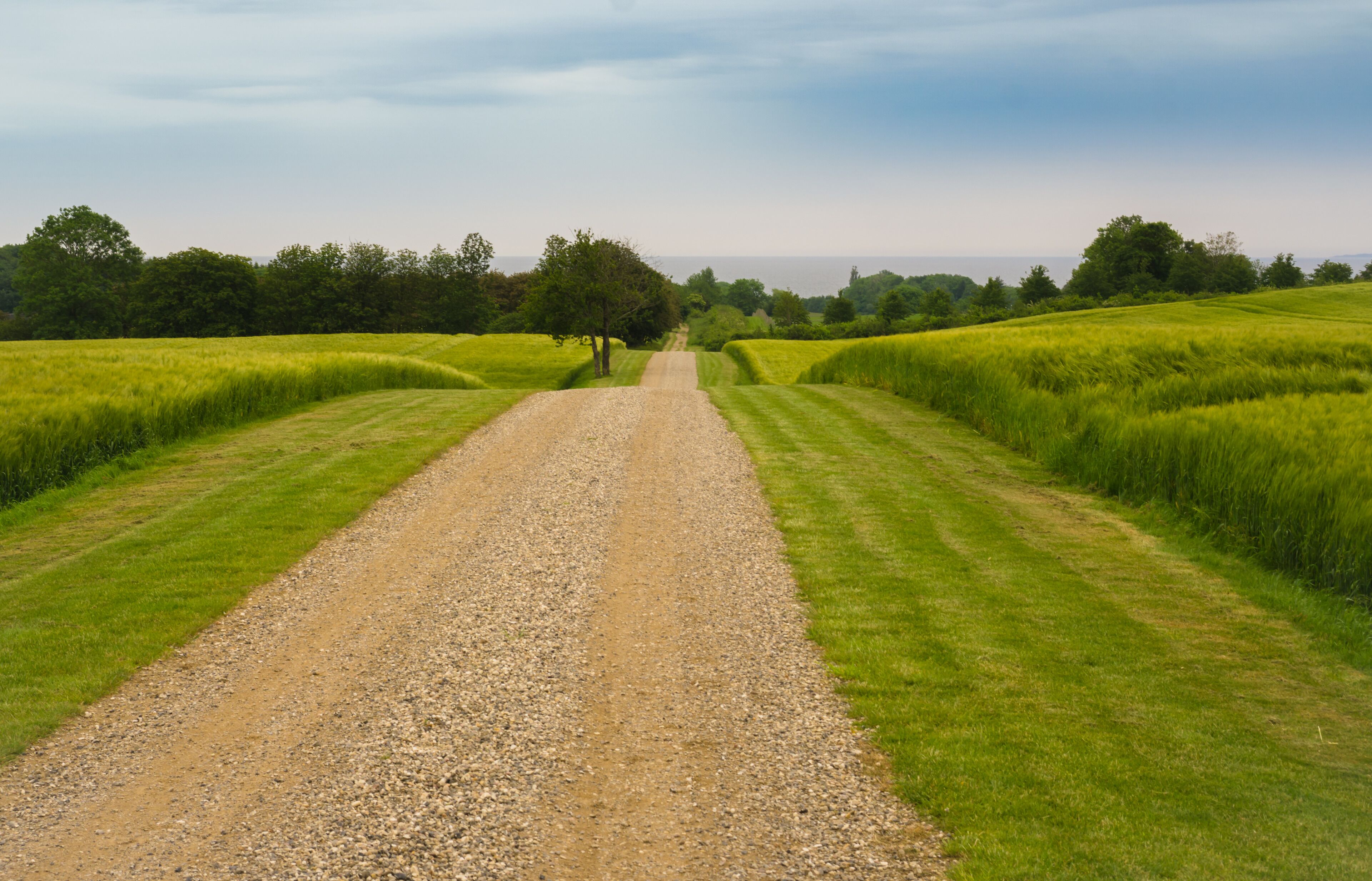 A gravel path in a green field with trees on either side.