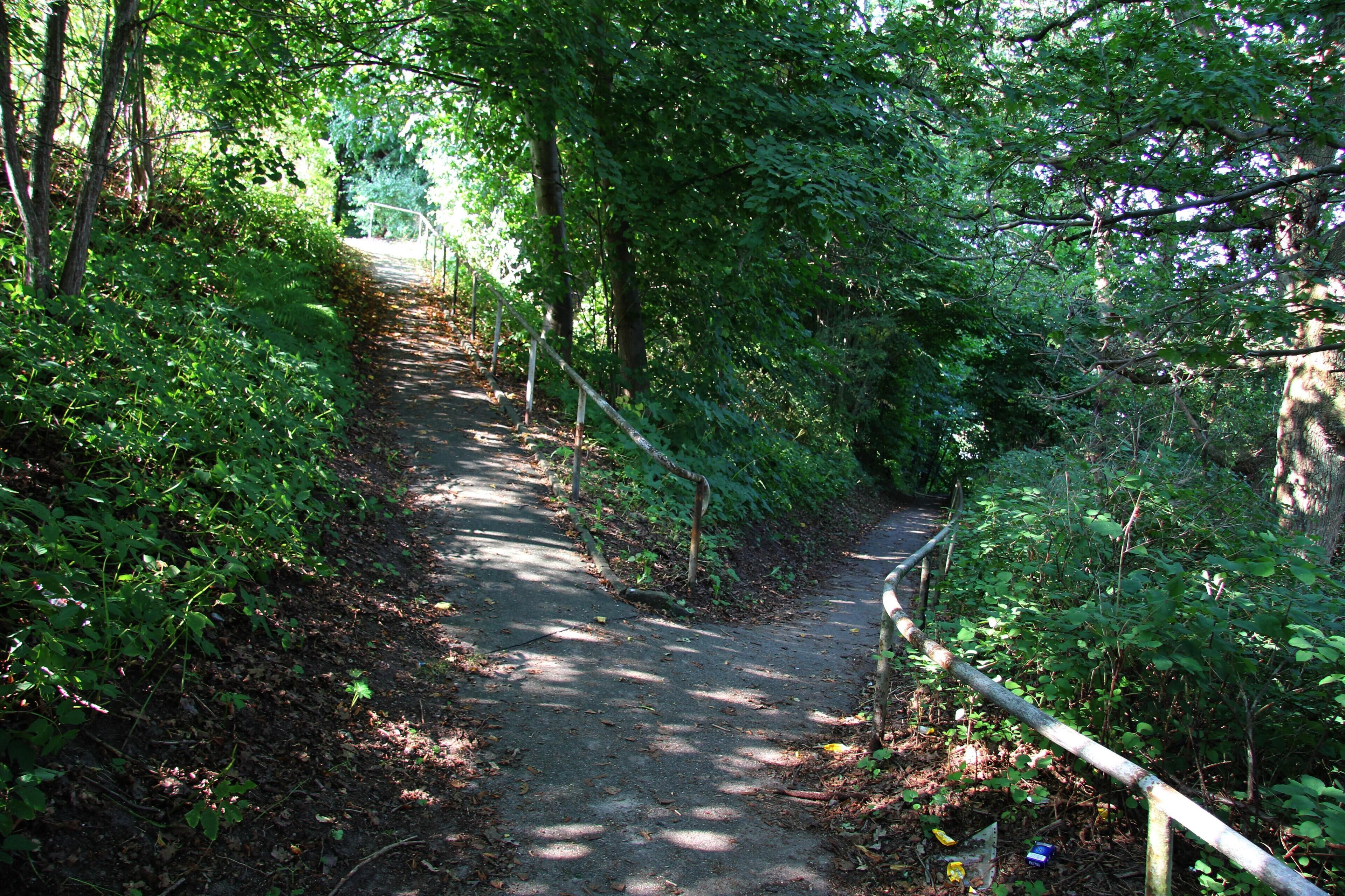 x-förmiger Fußweg zwischen Finkelberg und Heckenrosenweg, Kiel