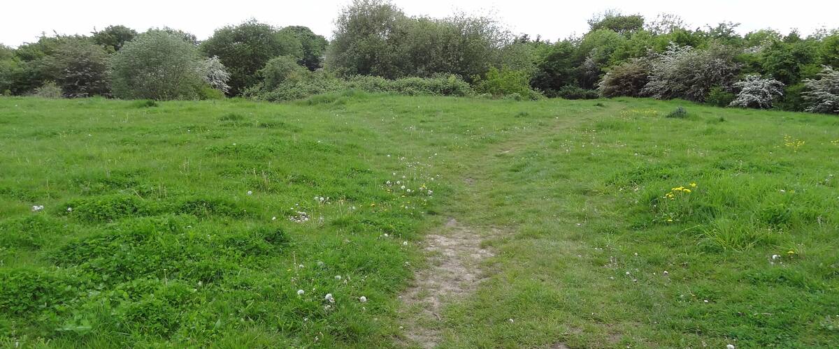 Oak Avenue Local Nature Reserve in Hanworth, London