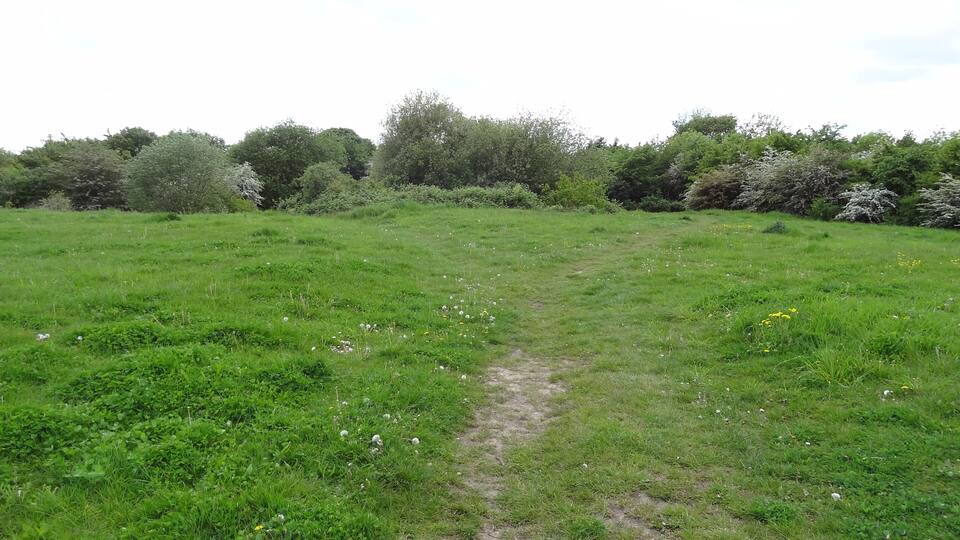Oak Avenue Local Nature Reserve in Hanworth, London