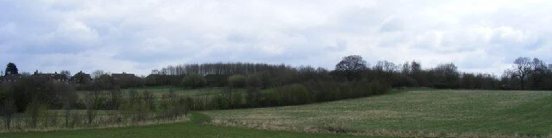 Fryent Country Park Fryent Country Park is 250-acres haven of traditional countryside in the heart of the Brent suburbs, This picture was taken from Fryent Way (A4140)