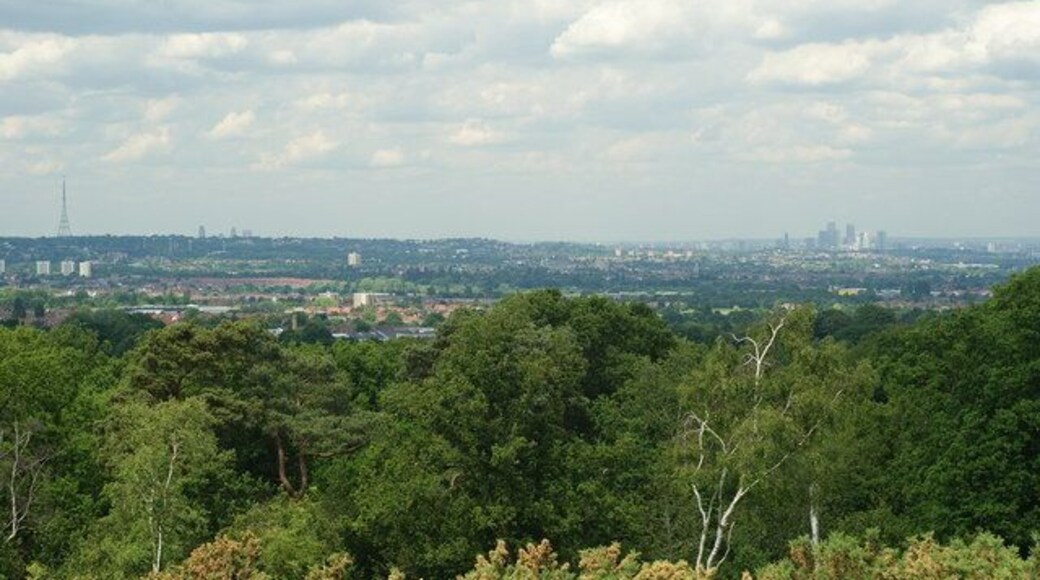 View From Addington Hills (2) To the right of picture are the offices at Canary Wharf, some 9 miles away. Towards the left of picture, the tops of the offices in the City of London can just be seen above the skyline; also 9 miles away. On the extreme left of picture is one of the television transmitters at Crystal Palace, a mere 4 miles away.