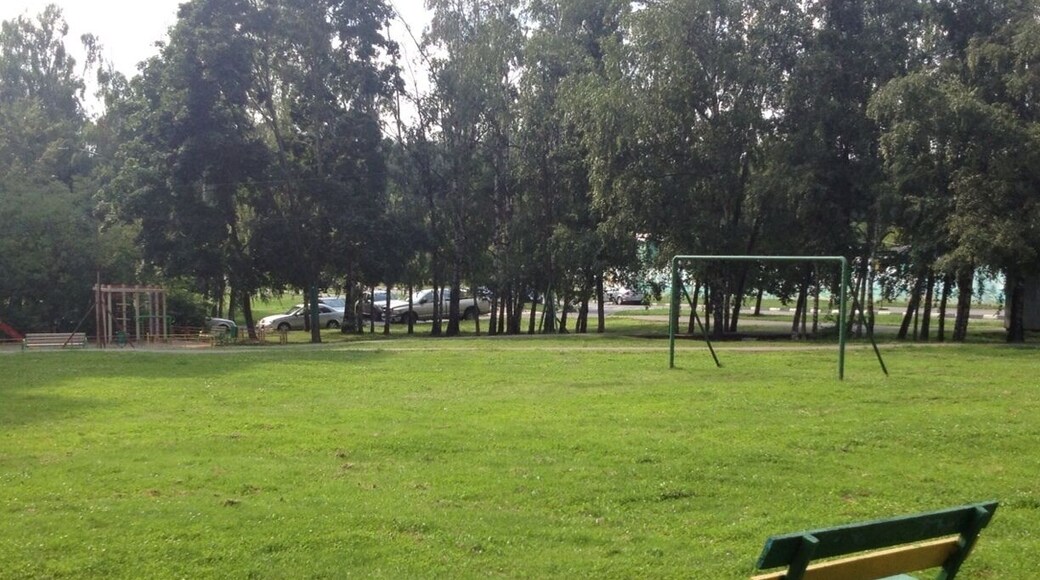 Дворовый стадион