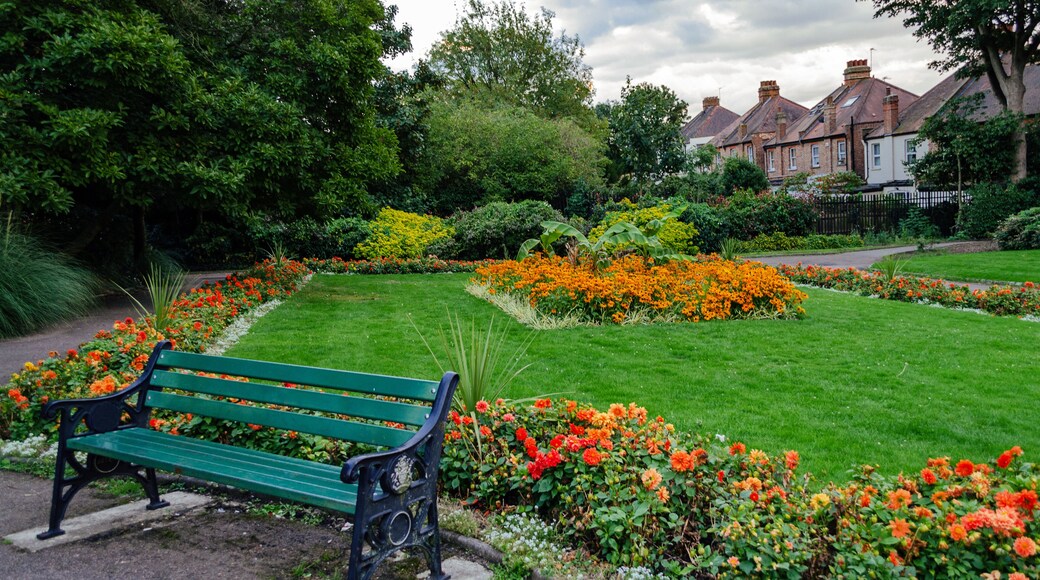 เบิร์นท์โอ๊ก