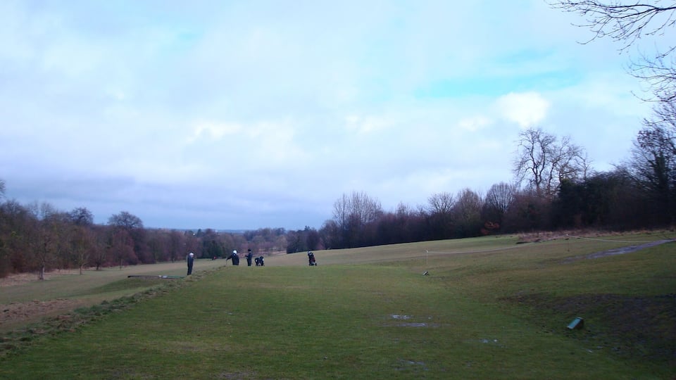 A grassy field with a few people and a golf cart.