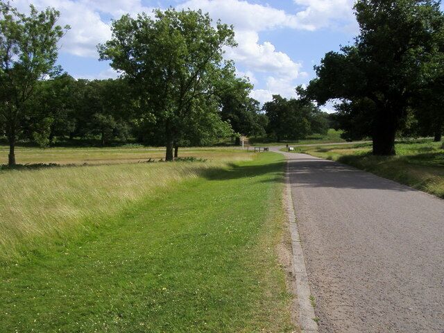 Lane from Holly Lodge to Sawyer's Hill Lane from Holly Lodge (renamed from Bog Lodge as shown on OS) to Sawyer's Hill