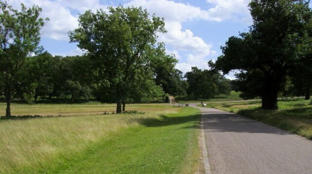 Lane from Holly Lodge to Sawyer's Hill Lane from Holly Lodge (renamed from Bog Lodge as shown on OS) to Sawyer's Hill