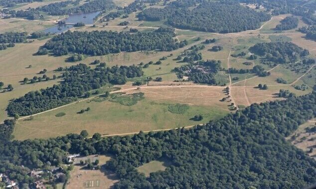 Aerial view of part of Richmond Park