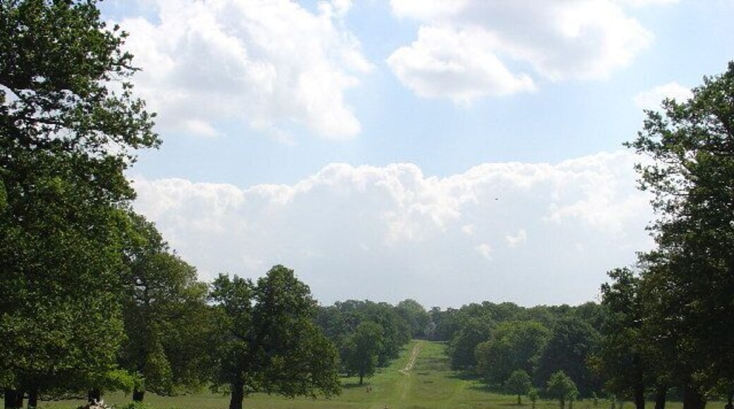 Richmond Park looking towards the White lodge. This track leads from the Richmond Gate to the White Lodge