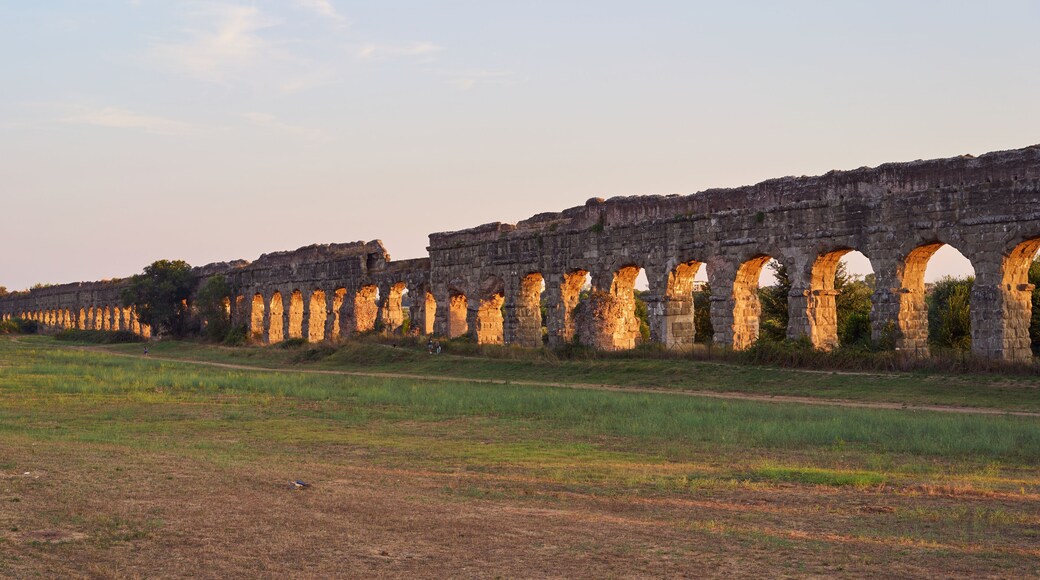 ตอเร่ มอรา