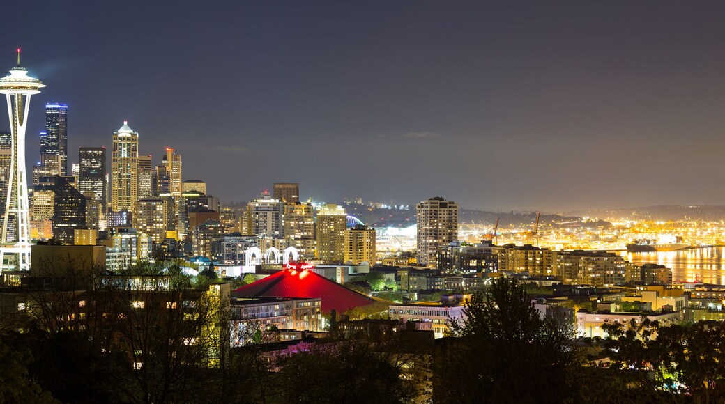 Downtown Seattle Skyline at Night