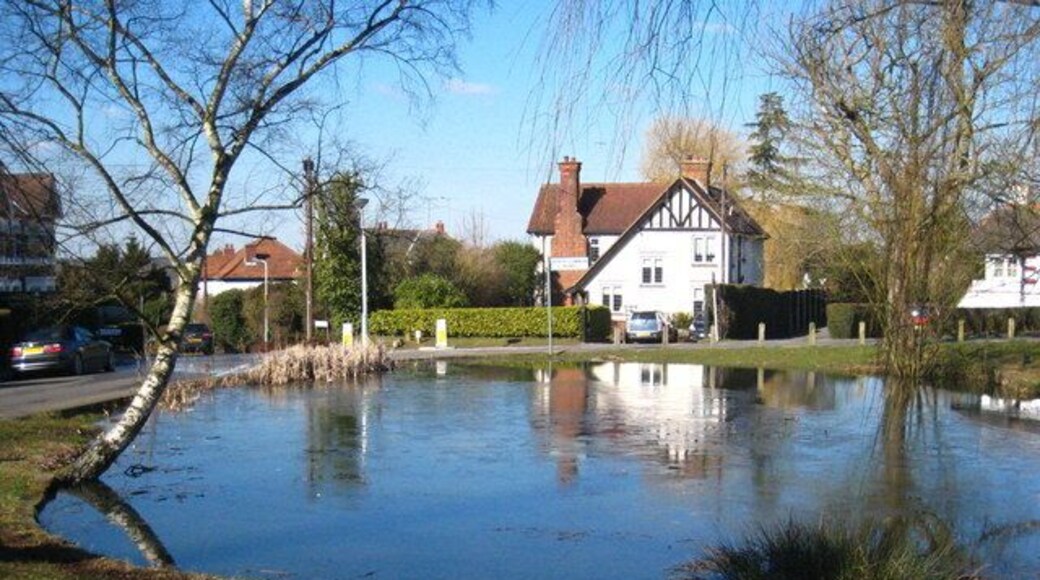 Pond on the north west corner of Uxbridge Common After a cold night, there is still ice on the surface around midday in early March.
