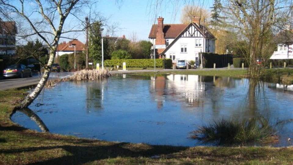 Pond on the north west corner of Uxbridge Common After a cold night, there is still ice on the surface around midday in early March.