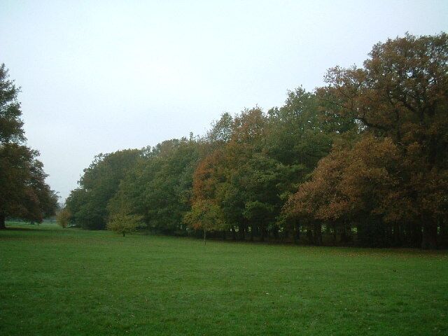 Hillingdon Court Park. Trees marked on local map as "Big Clump"