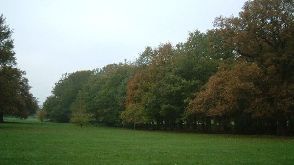 Hillingdon Court Park. Trees marked on local map as "Big Clump"