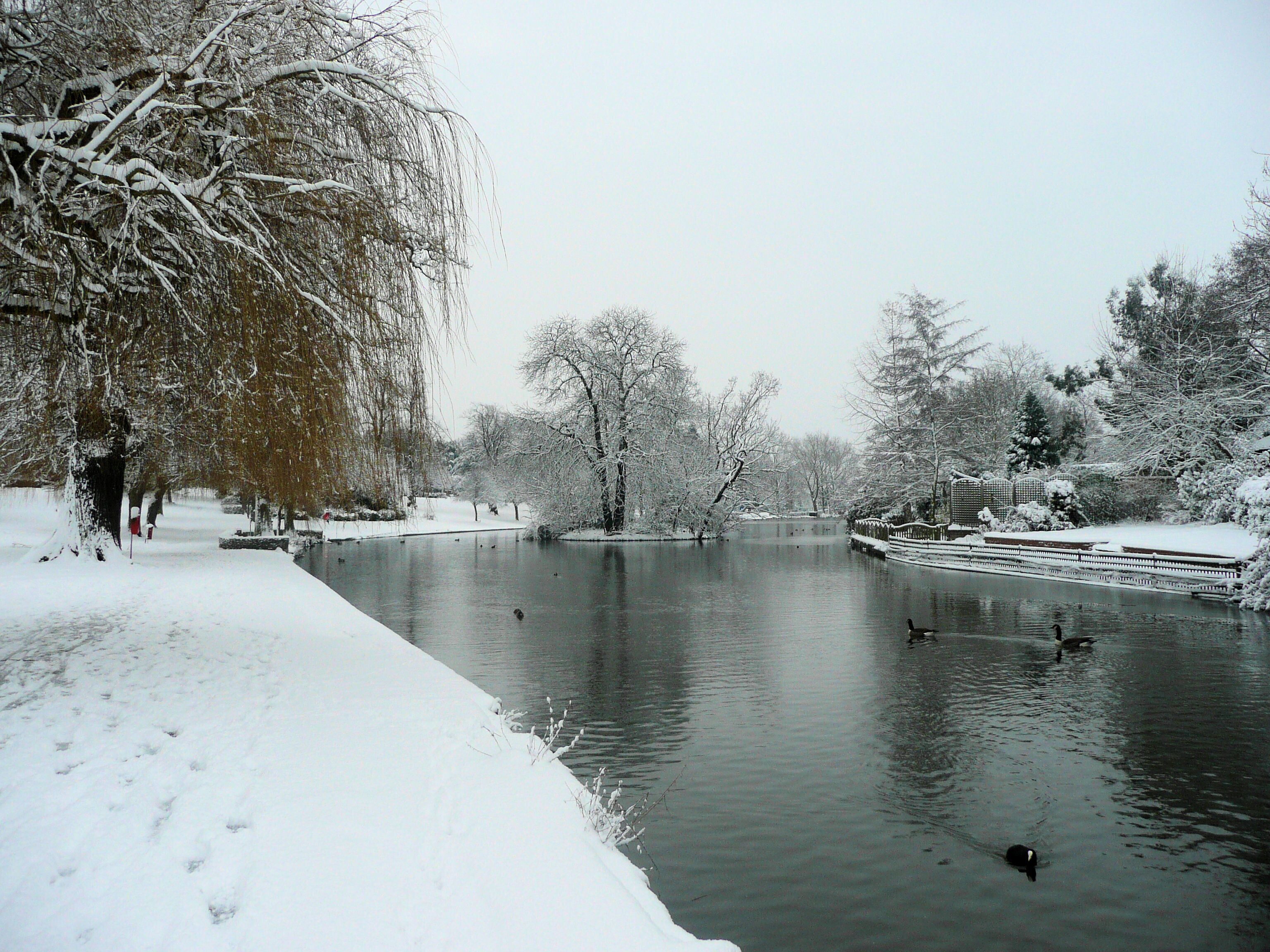 Raphael Park lake in Romford. This was originally part of the Gidea Hall estate and was known as Black's Canal.