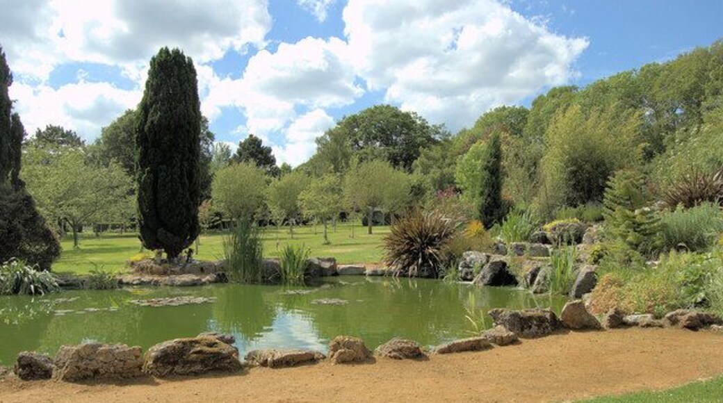 Pond in grounds of Breakspear Crematorium, Ruislip (1)