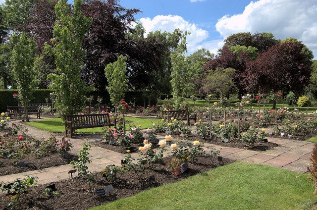 Rose memorials, Breakspear Crematorium, Ruislip